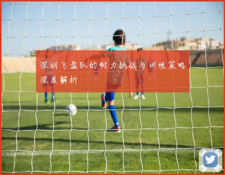 深圳飞盘队的耐力挑战与训练策略深度解析