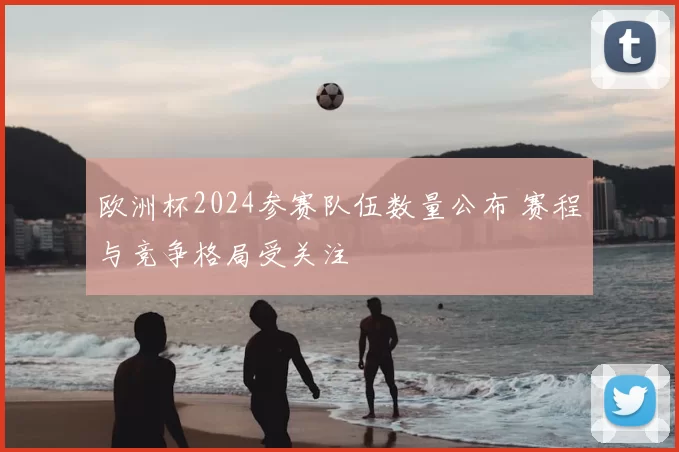 欧洲杯2024参赛队伍数量公布 赛程与竞争格局受关注