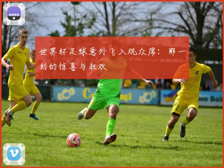 世界杯足球意外飞入观众席:那一刻的惊喜与狂欢