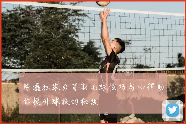 陈磊独家分享羽毛球技巧与心得助你提升球技的秘诀