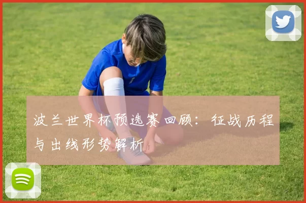 波兰世界杯预选赛回顾:征战历程与出线形势解析