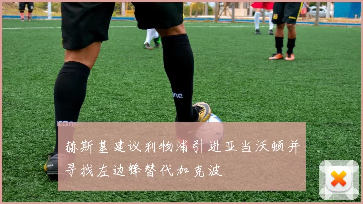 赫斯基建议利物浦引进亚当沃顿并寻找左边锋替代加克波