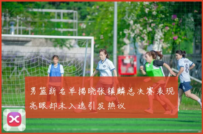 男篮新名单揭晓张镇麟总决赛表现亮眼却未入选引发热议