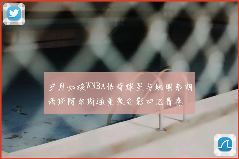 岁月如梭WNBA传奇球星与姚明弗朗西斯阿尔斯通重聚合影回忆青春