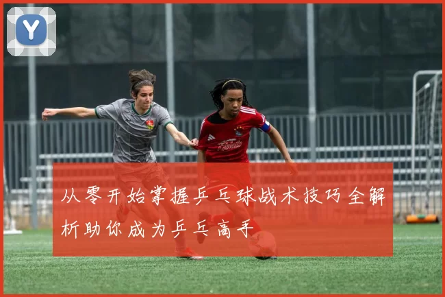 从零开始掌握乒乓球战术技巧全解析助你成为乒乓高手