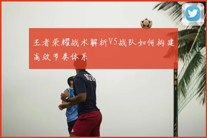 王者荣耀战术解析V5战队如何构建高效节奏体系