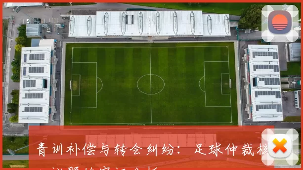 青训补偿与转会纠纷:足球仲裁核心议题的实证分析