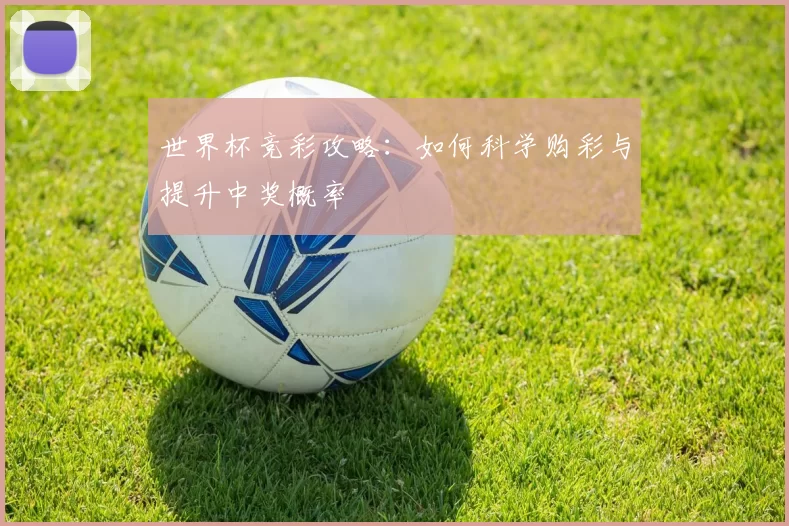 世界杯竞彩攻略:如何科学购彩与提升中奖概率