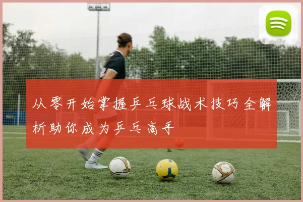 从零开始掌握乒乓球战术技巧全解析助你成为乒乓高手