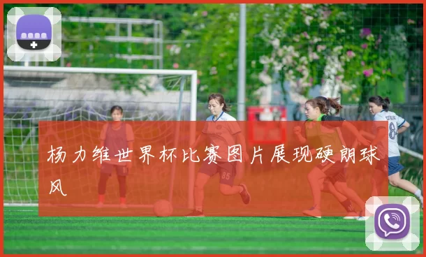 杨力维世界杯比赛图片展现硬朗球风