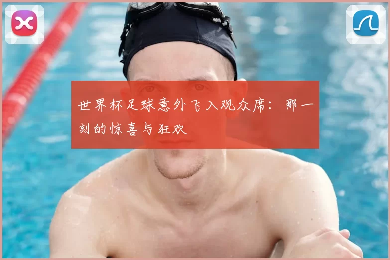 世界杯足球意外飞入观众席:那一刻的惊喜与狂欢