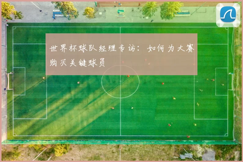 世界杯球队经理专访:如何为大赛购买关键球员